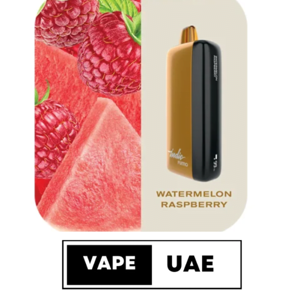 FUMMO INDIC 12000 PUFFS DISPOSABLE VAPE IN UAE