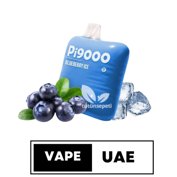 ElfBar Pi9000 Disposable Vape in Dubai