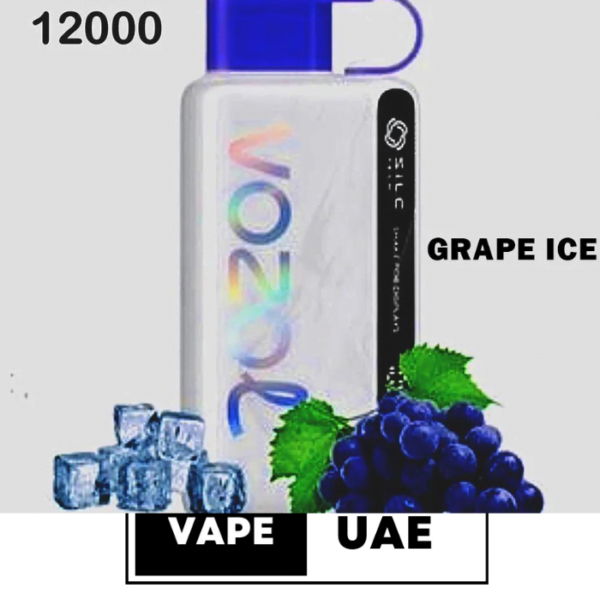 Vozol Star 12000 Puffs Disposable Vape in Dubai