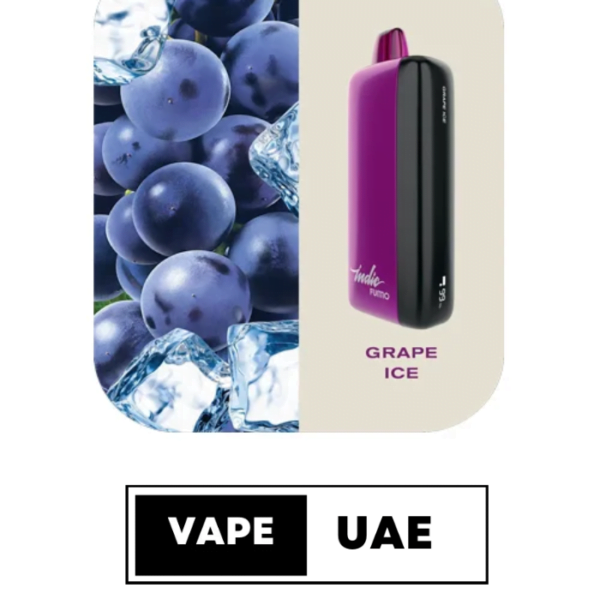 FUMMO INDIC 12000 PUFFS DISPOSABLE VAPE IN UAE