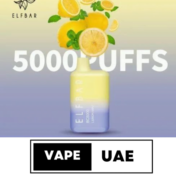 ELF BAR DISPOSABLE VAPE BC5000 PUFFS (2% Nicotine) IN DUBAI