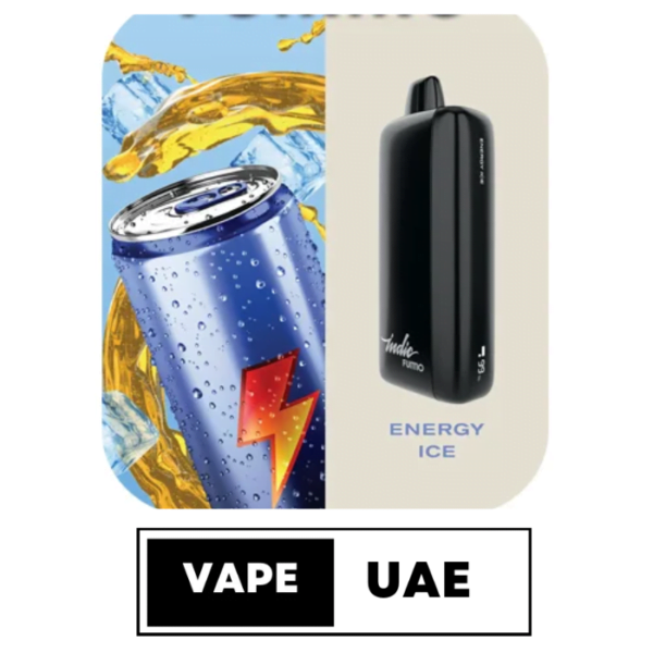 FUMMO INDIC 12000 PUFFS DISPOSABLE VAPE IN UAE