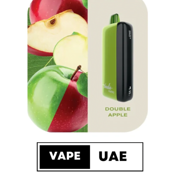 FUMMO INDIC 12000 PUFFS DISPOSABLE VAPE IN UAE