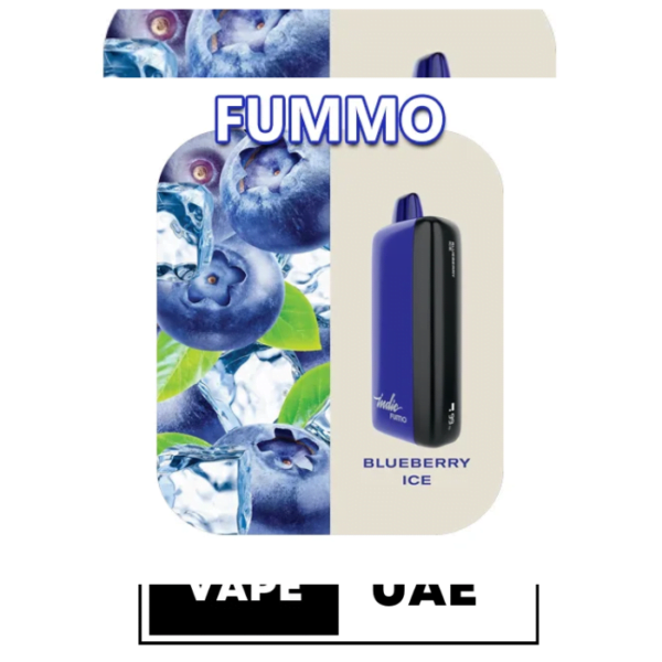 FUMMO INDIC 12000 PUFFS DISPOSABLE VAPE IN UAE