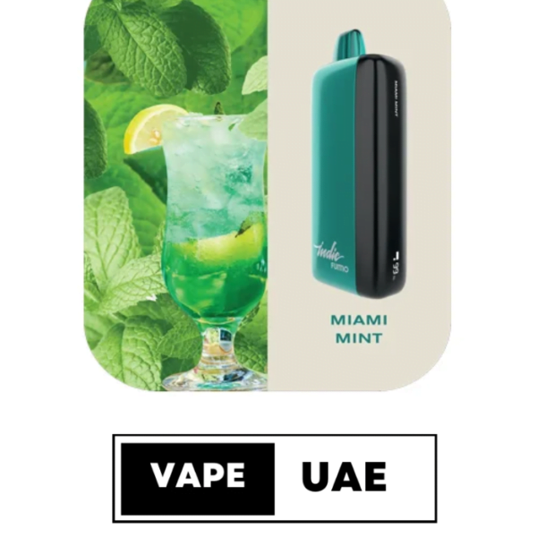 FUMMO INDIC 12000 PUFFS DISPOSABLE VAPE IN UAE