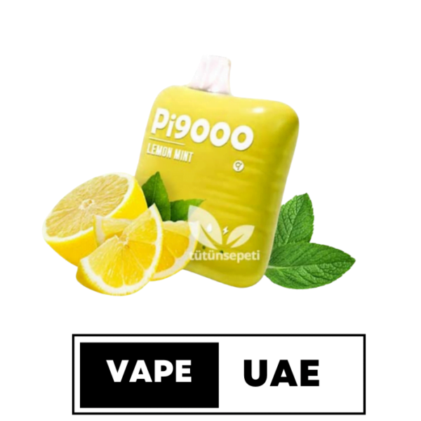 ElfBar Pi9000 Disposable Vape in Dubai