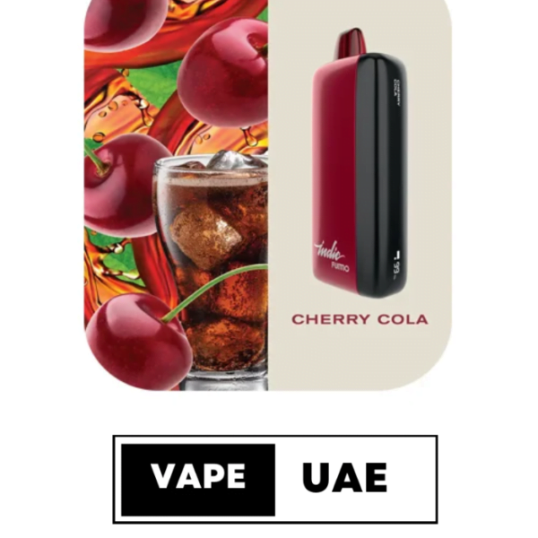 FUMMO INDIC 12000 PUFFS DISPOSABLE VAPE IN UAE