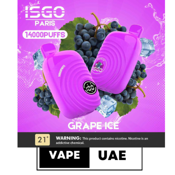 ISGO Paris 2% nicotine Disposable 14000 Puffs Rechargeable Vape in Dubai