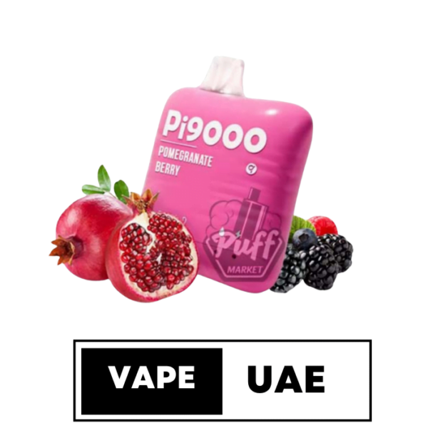 ElfBar Pi9000 Disposable Vape in Dubai