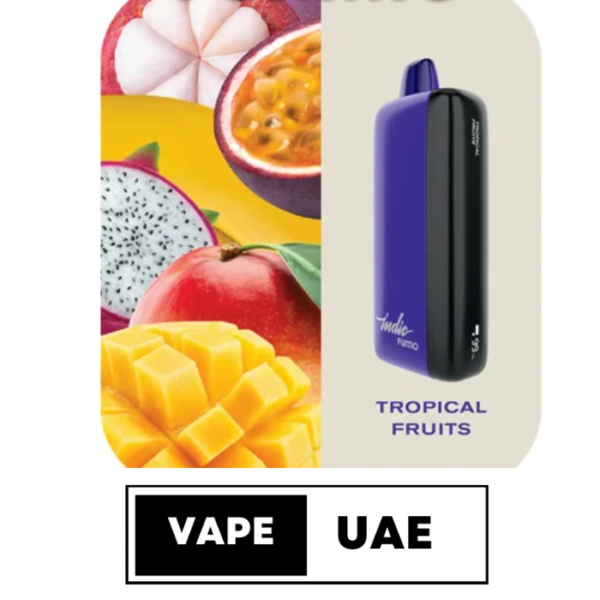 FUMMO INDIC 12000 PUFFS DISPOSABLE VAPE IN UAE