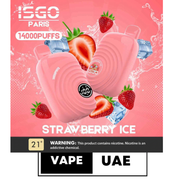 ISGO Paris 2% nicotine Disposable 14000 Puffs Rechargeable Vape in Dubai