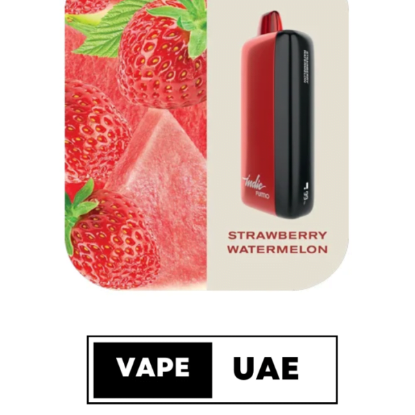 FUMMO INDIC 12000 PUFFS DISPOSABLE VAPE IN UAE