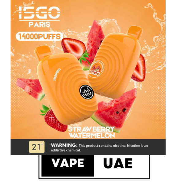 ISGO Paris 2% nicotine Disposable 14000 Puffs Rechargeable Vape in Dubai