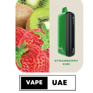 FUMMO INDIC 12000 PUFFS DISPOSABLE VAPE IN UAE