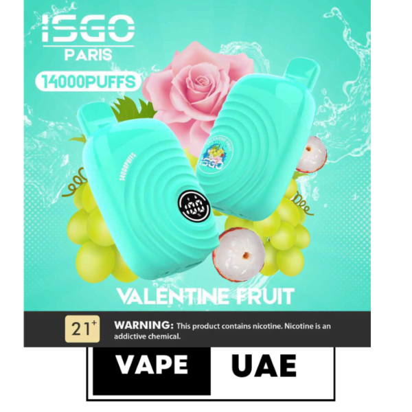 ISGO Paris 2% nicotine Disposable 14000 Puffs Rechargeable Vape in Dubai