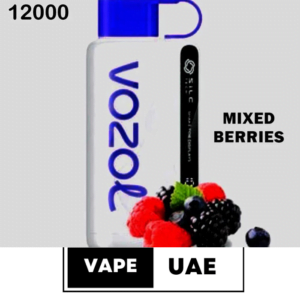 Vozol Star 12000 Puffs Disposable Vape in Dubai