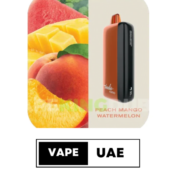 FUMMO INDIC 12000 PUFFS DISPOSABLE VAPE IN UAE