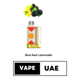 ELFBAR TE6000 PUFFS DISPOSABLE VAPE IN UAE