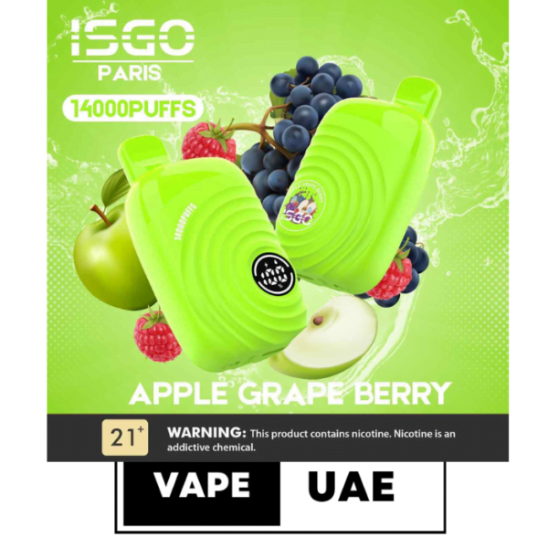 ISGO Paris 2% nicotine Disposable 14000 Puffs Rechargeable Vape in Dubai