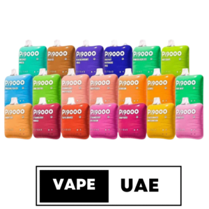 ElfBar Pi9000 Disposable Vape in Dubai