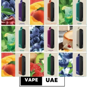 FUMMO INDIC 12000 PUFFS DISPOSABLE VAPE IN UAE