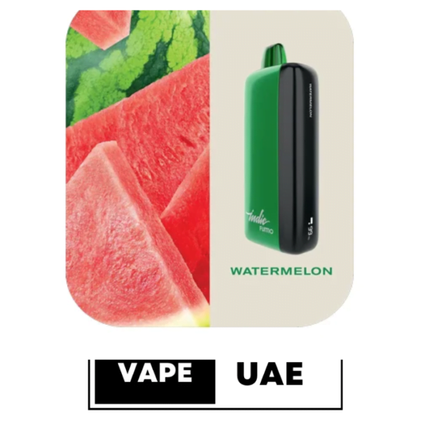 FUMMO INDIC 12000 PUFFS DISPOSABLE VAPE IN UAE