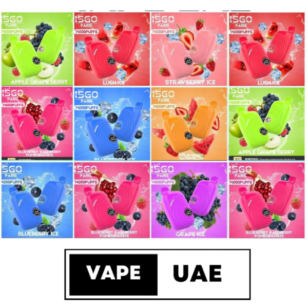 ISGO Paris 2% nicotine Disposable 14000 Puffs Rechargeable Vape in Dubai