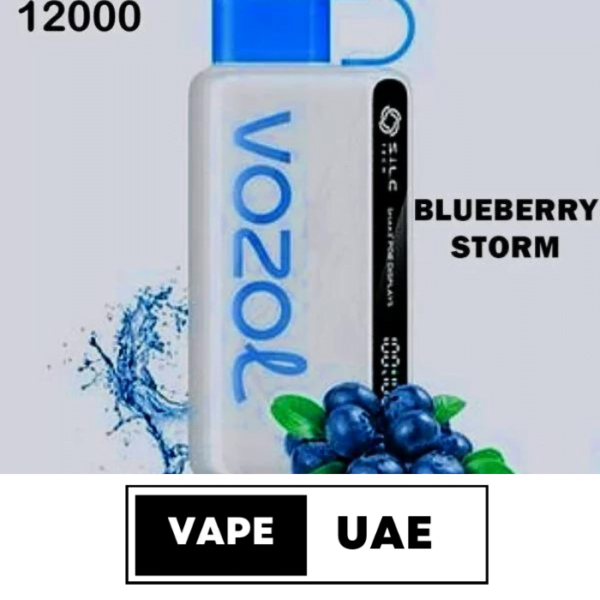 Vozol Star 12000 Puffs Disposable Vape in Dubai