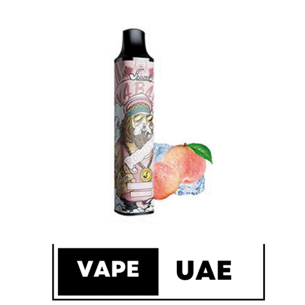 ROBUST VABAR 2500 PUFFS DISPOSABLE VAPE IN UAE