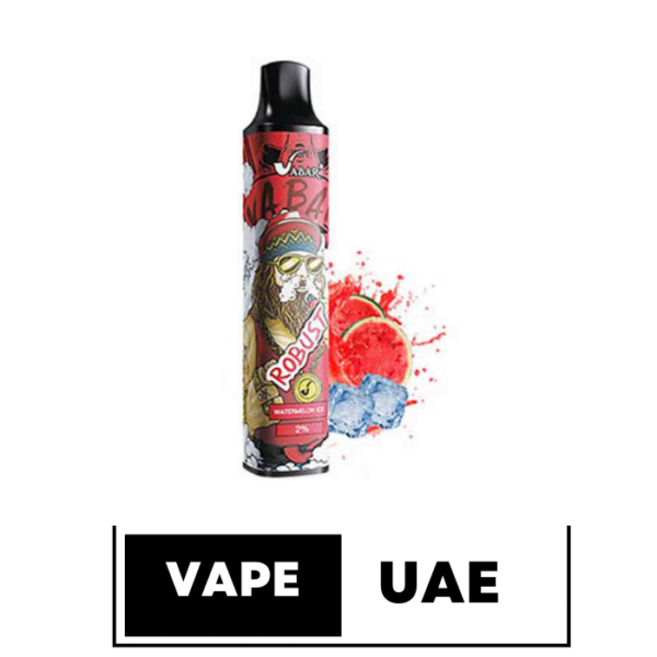 ROBUST VABAR 2500 PUFFS DISPOSABLE VAPE IN UAE