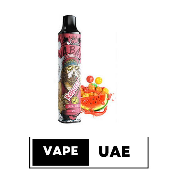 ROBUST VABAR 2500 PUFFS DISPOSABLE VAPE IN UAE