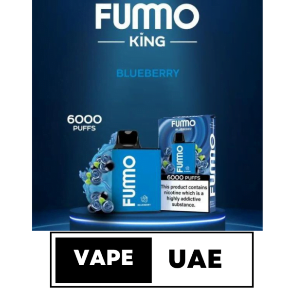 FUMMO KING 6000 PUFFS DISPOSABLE VAPE IN DUBAI blueberry