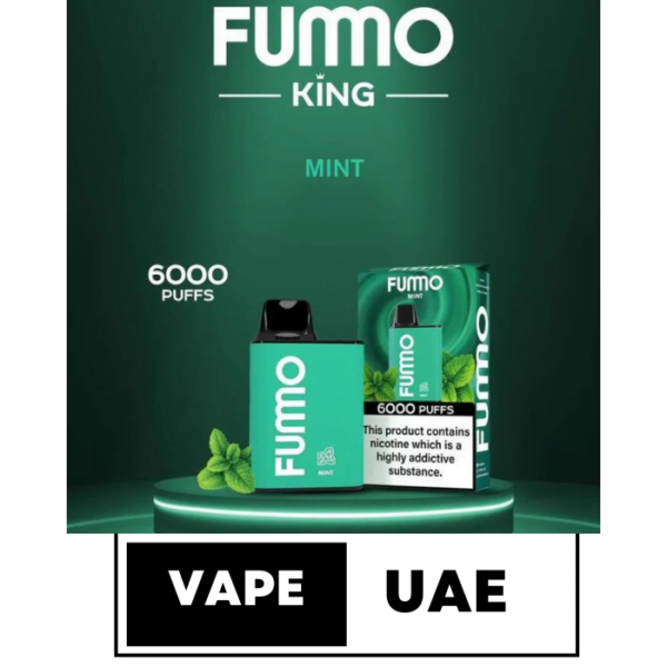 FUMMO KING 6000 PUFFS DISPOSABLE VAPE IN DUBAI mint