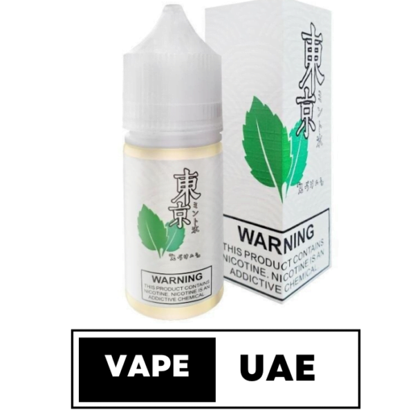 TOKYO SALTNIC ICED MINT 30ML IN DUBAI UAE