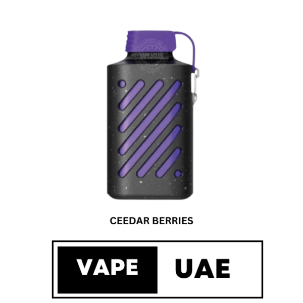 VOZOL GEAR 10000 PUFFS DISPOSABLE VAPE IN UAE ceedar berries