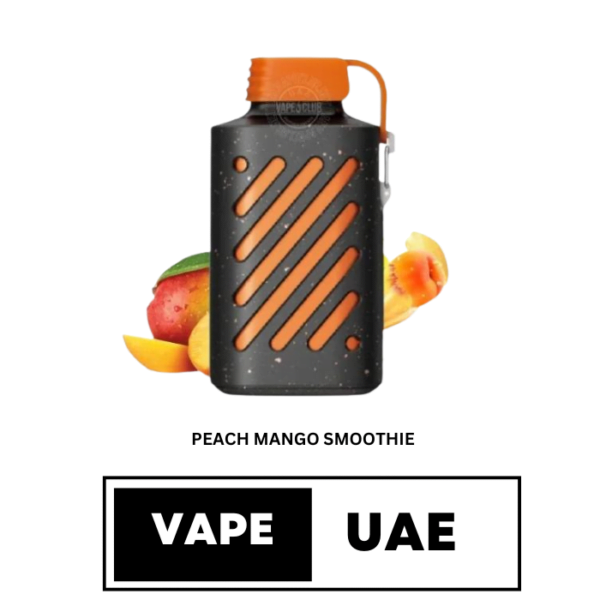 VOZOL GEAR 10000 PUFFS DISPOSABLE VAPE IN UAE peach mango smoothie